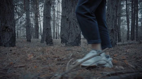 Forest walk 스톡 동영상 108655266