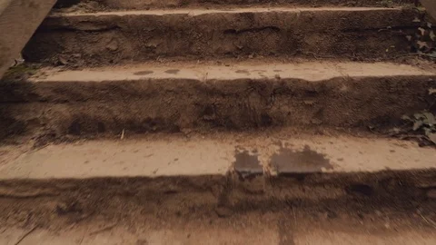 Forest Walk Vídeo Stock 127021604