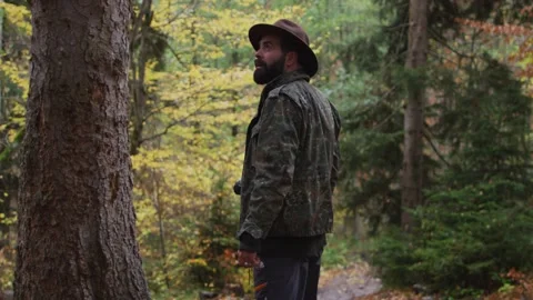 Forest walk Stock Footage 138121339