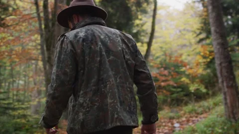 Forest walk Stock Footage 138121379