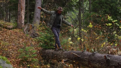 Forest walk Stock Footage 138121859