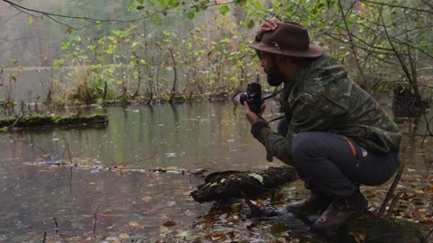 Forest walk Stock Footage 138121897