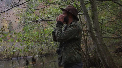 Forest walk Video stock 138121909