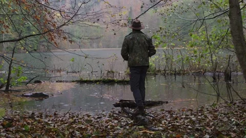 Forest walk Stock Footage 138122199