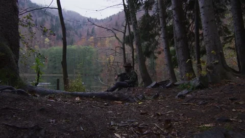 Forest walk Video stock 138124332