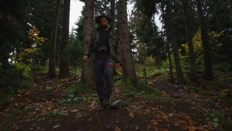 Forest walk Stock Footage 138124803