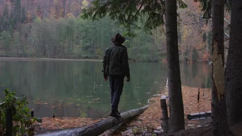 Forest walk Stock Footage 138132349