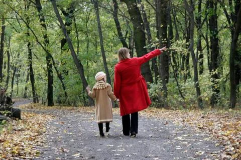 Forest walk Stock Photos