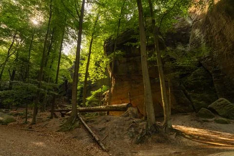 Forest walking path winding beside sandstone rock formations in Saxon Switzer Stock Photos