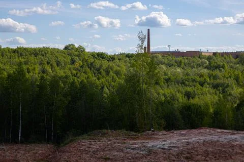 Forest walking trail Lode, orange sand and edge. Foto stock