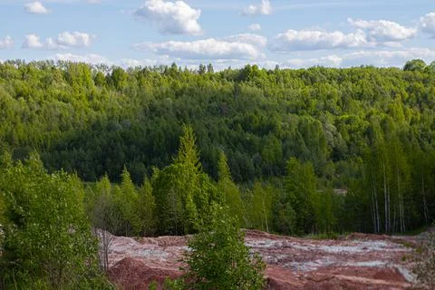 Forest walking trail Lode, orange sand and edge. 写真素材