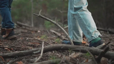 Forest walks concept. Forest walk hiker step pine needles. walk nature lovers Video stock 274227620