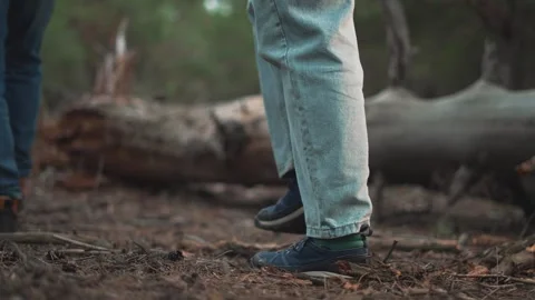 Forest walks concept. Forest walk hiker step pine needles. walk nature lovers Video stock 277500242