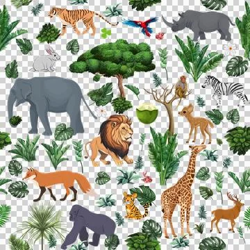 Forest wall poster Stock Illustration