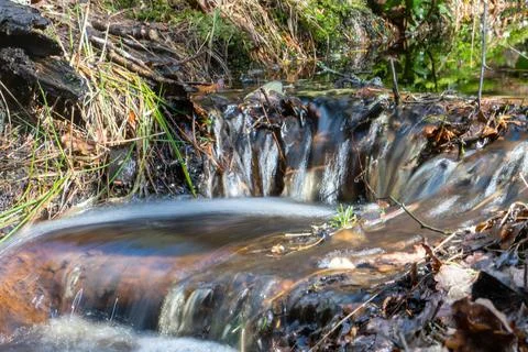 Forest Water Fall Stock Photos