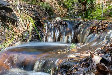 Forest Water Fall Stock Photos