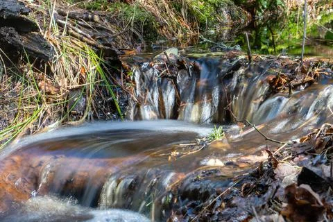 Forest Water Fall Foto stock
