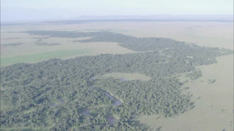 Forest Water Stock Footage 39922574