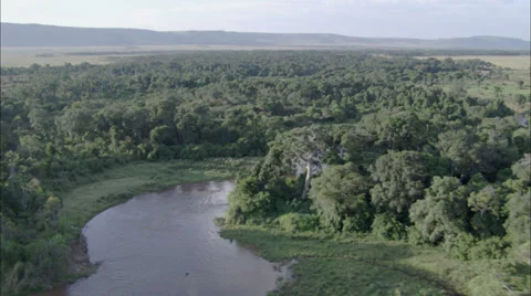 Forest Water Stock Footage 39923108