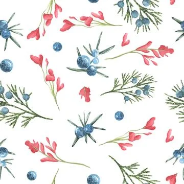 Forest watercolor juniper seamless pattern with red leaves o blueberry . can be Stock Illustration