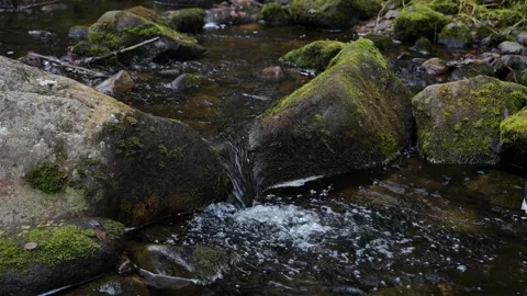A forest watercourse running between rocks. Video stock 323746955