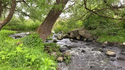 Forest Waterfall 1 Stock Footage 277421679