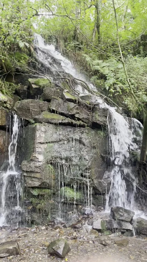 Forest Waterfall 1 Stock Footage 292504559