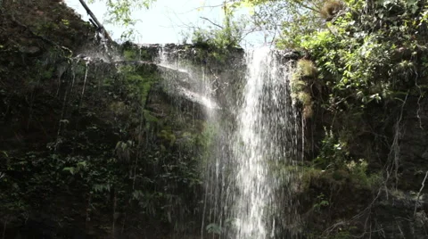 Forest Waterfall 10sec Stock Footage 52513094