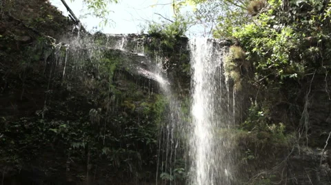Forest Waterfall 20sec Stock Footage 52513503