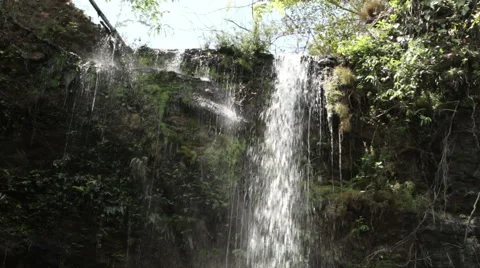 Forest Waterfall 5sec Stock Footage 52512575