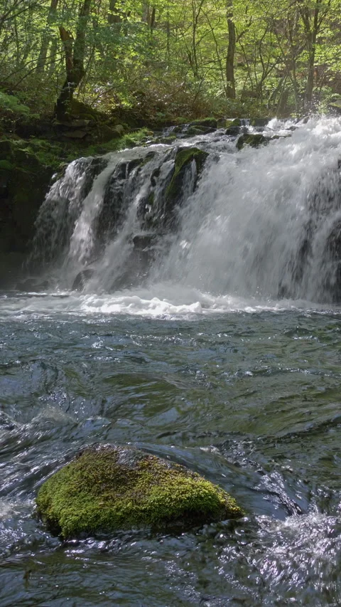 Forest Waterfall and Clear Mountain Stream Vertical Video Vidéo 346073740