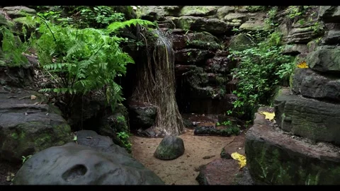 Forest Waterfall Animation Video stock 307897300