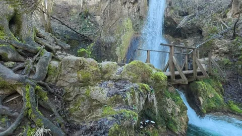 Forest Waterfall from Bottom to Top with Tree on the Left – Slow Camera Move Video stock 330932150