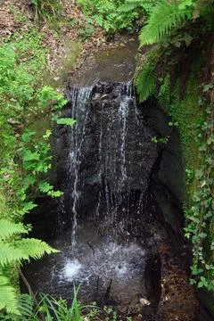 Forest Waterfall Cascade Flowing Down Dark Rocks with Lush Green Foliag Stock Photos