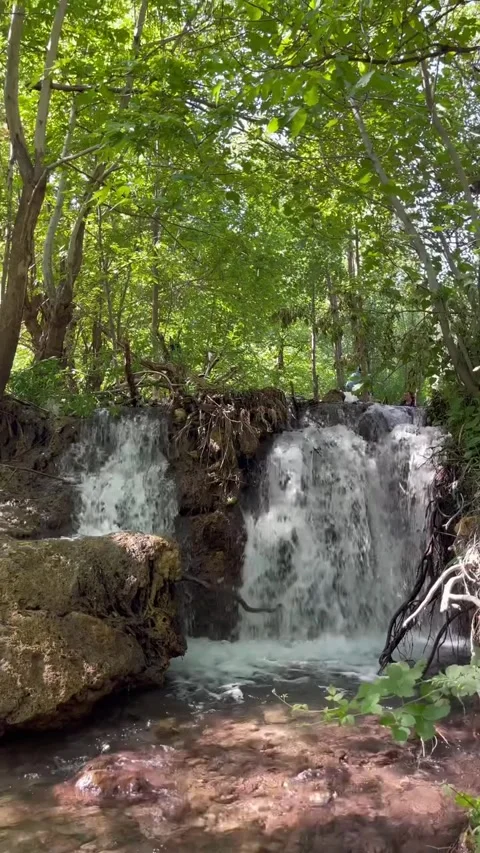 Forest Waterfall Cascade Over Mossy Rocks Stock Footage 340871868