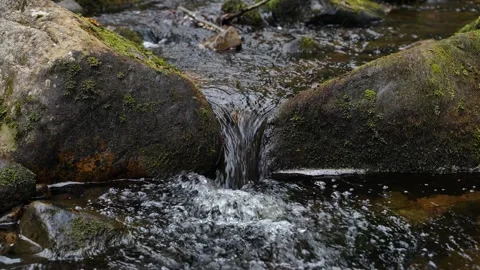 Forest waterfall cascades down moss-covered rocks Video stock 323066103