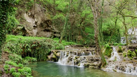 Forest Waterfall Cascading Into Emerald Pool 스톡 동영상 331196930