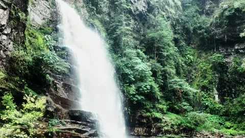 Forest Waterfall Close-up 4K Video Stock Footage 319924041