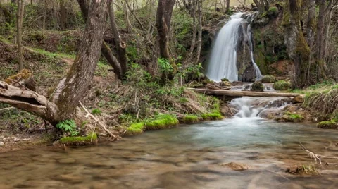 Forest waterfall on crystal clear mountain river. Easy zoom in Stock Footage 62968266