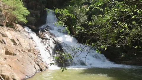 Forest Waterfall Dropping Into Pool, Leafy Branches Framing Calm Emerald Basin Stock Footage 329019956
