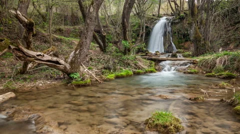 Forest waterfall. Easy verrtical pan Stock Footage 62166956