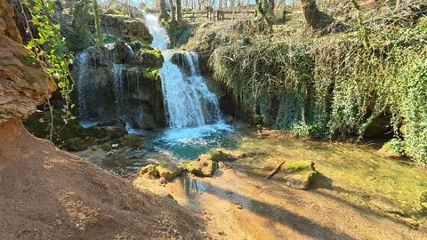 Forest Waterfall With Emerald Pool Camera Tilt Up and Pan Left Video stock 330676912