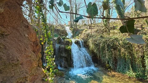 Forest Waterfall With Emerald Water and Green Ivy in Sunny Autumn Stock Footage 330676905