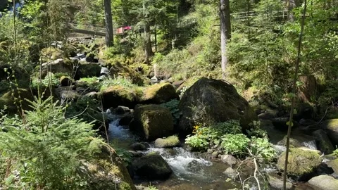 Forest Waterfall Flowing Between Mossy Rocks on Sunny Spring Day Stock Footage 335044297