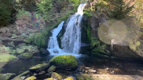 Forest Waterfall Flowing Between Mossy Rocks on Sunny Spring Day Stock Footage 335044298