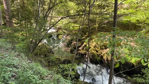 Forest Waterfall Flowing Between Mossy Rocks on Sunny Spring Day Stock Footage 335044303