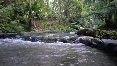 Forest with Waterfall Flowing Down from Spring 動画素材 236142272
