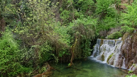 Forest Waterfall Flowing Into Emerald Pool 스톡 동영상 331196883