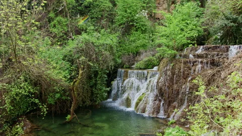 Forest Waterfall Flowing Into Emerald Pool 스톡 동영상 331196978