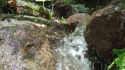 Forest Waterfall Flowing Over Rocks Fresh Natural Scene Stock Footage 330581003